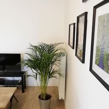 Appartement Proche Chu Avec Balcon Et Parking Lille Eksteriør bilde
