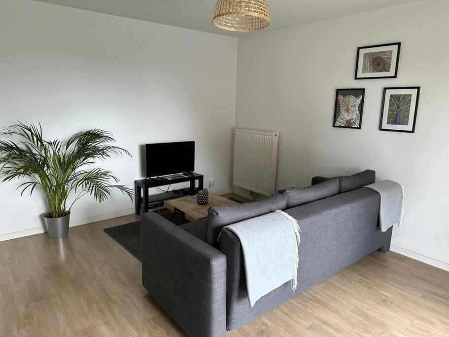Appartement Proche Chu Avec Balcon Et Parking Lille Eksteriør bilde